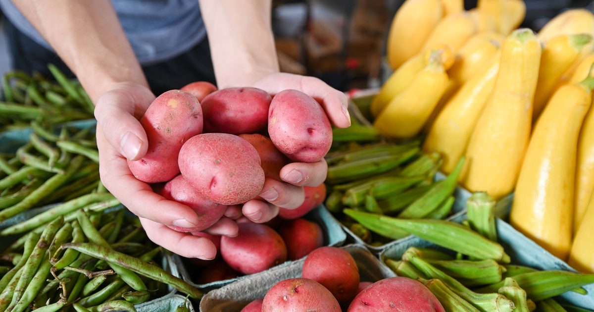 Little Rock, AR Farmers Market